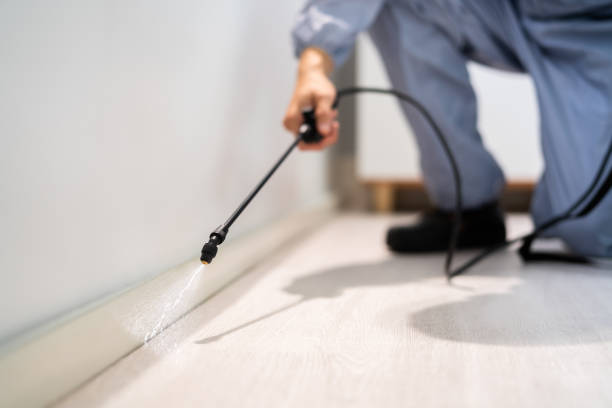 Professional exterminator conducting IPM assessment in Colonial Beach